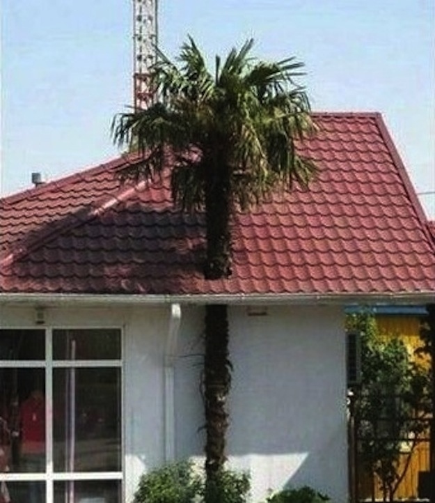 fail19
