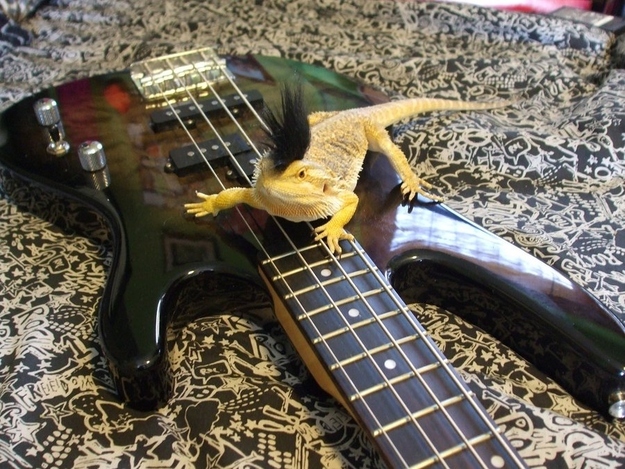 ba4