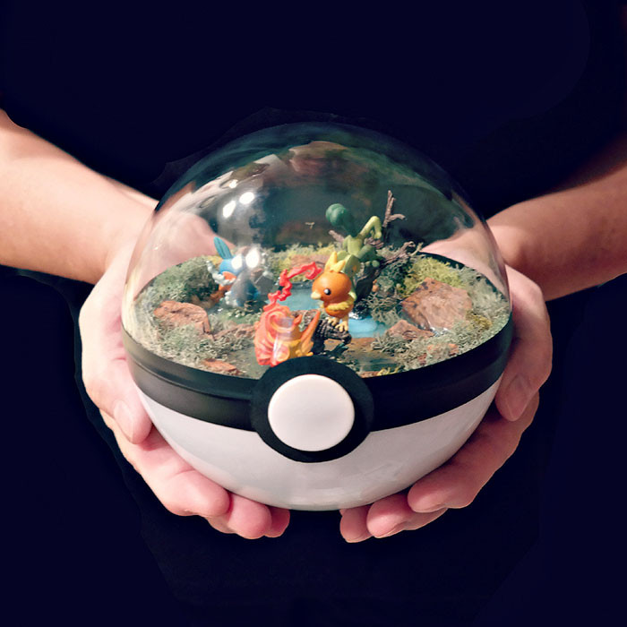 poke-ballthe-vintage-realm-57f3aba0a0a05__700