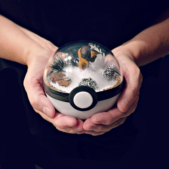 poke-ballthe-vintage-realm-57f3ab92c71bd__700