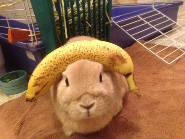 ra7