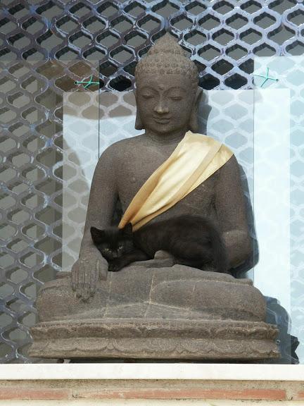 neko2
