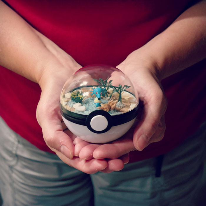 poke-ballthe-vintage-realm-57f3ab8f004f5__700