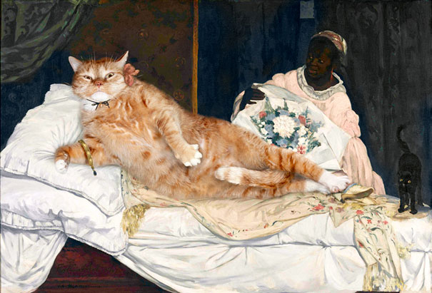 cat02