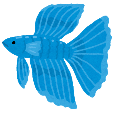 fish_beta_betta