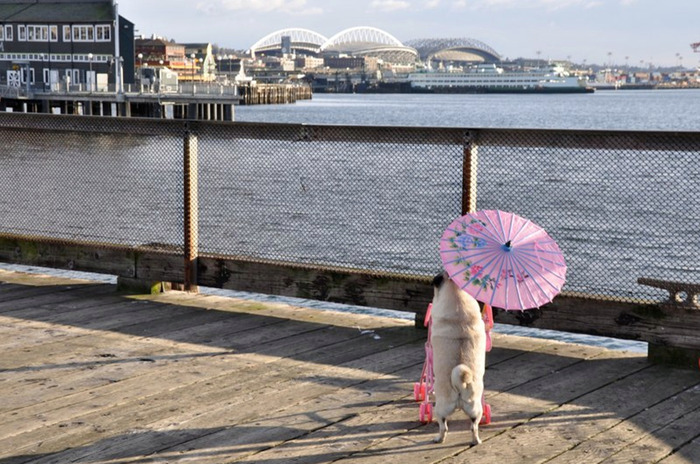 an9