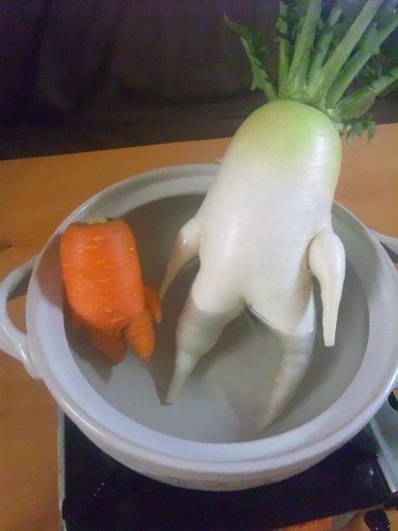 vegetables10