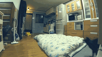 cat09