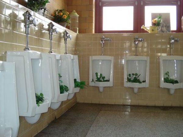 wc08