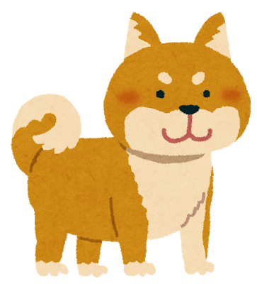 shibainu_brown