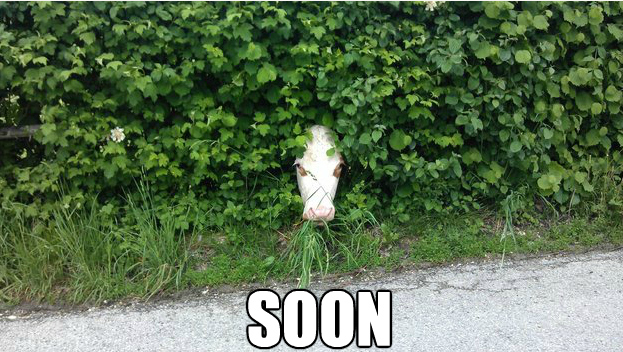 soon30