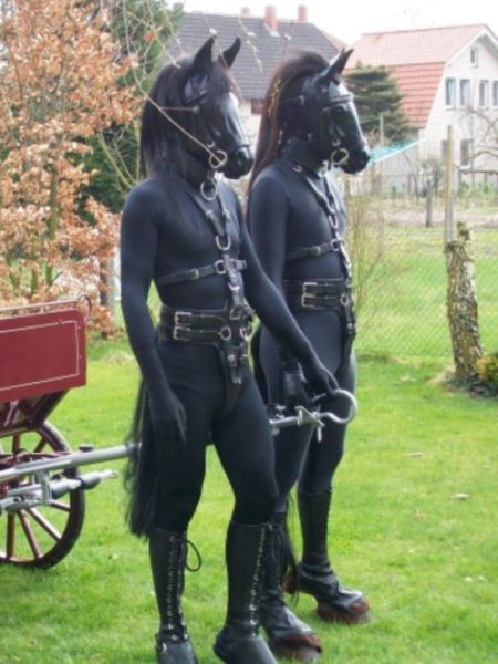 ww22