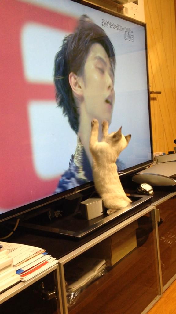 neko1