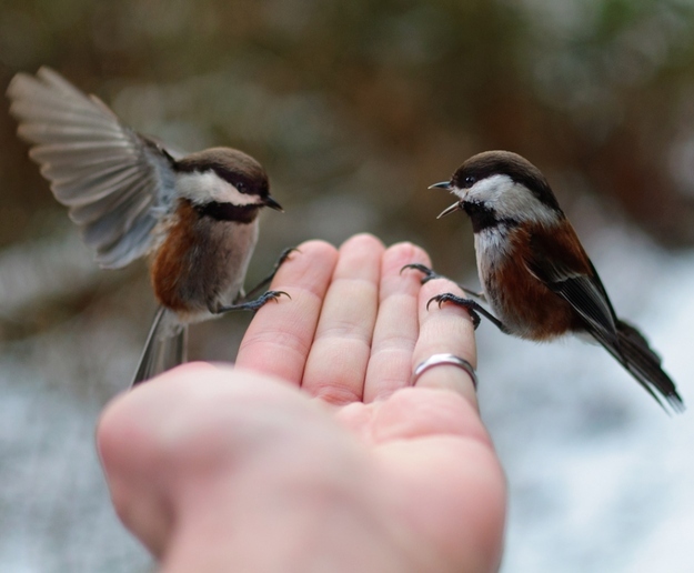 ȋȑqZ 237rڔLKCWuX [f]ڋ֎~]©bbspink.com	YouTube>1{ ->摜>3567 