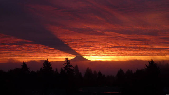 2012s_most_spine_tingling_photos_so_far_640_35