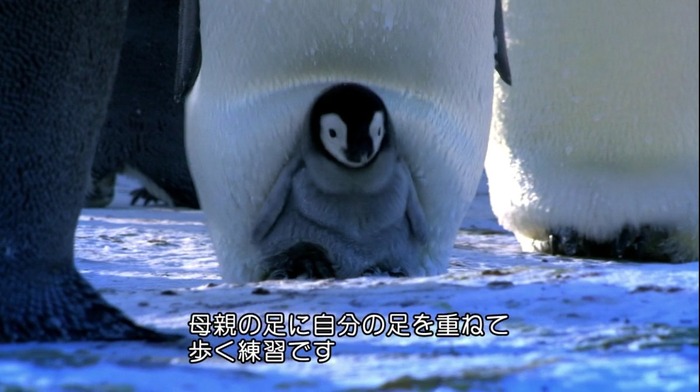 C8V5Py_UAAA_sG5
