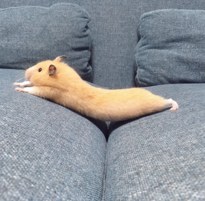 kin