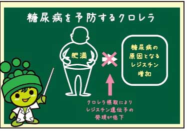 糖尿病_クロレラ