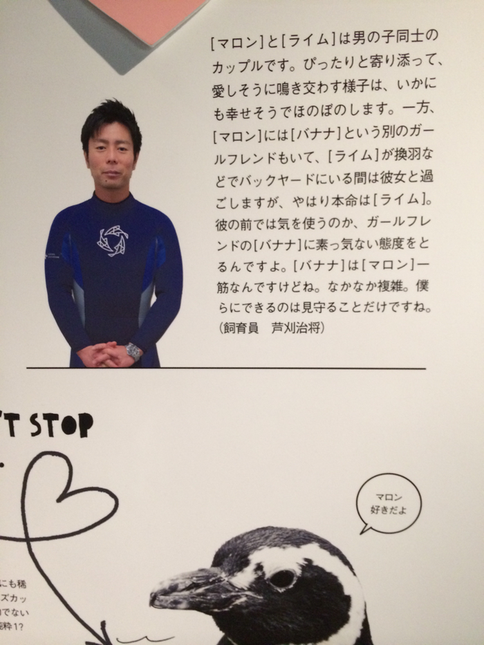 pen