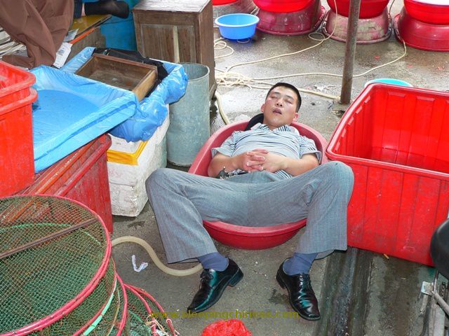 chinese_people_will_sleep_anywhere_640_16