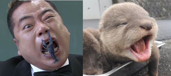 20150318225015
