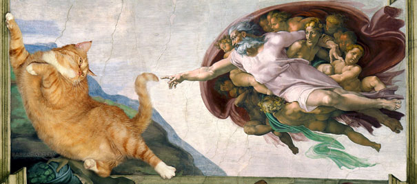 cat06