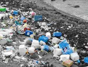 2010030899090705-thumbnail2[1]