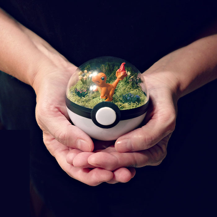 poke-ballthe-vintage-realm-57f3ab9f44e83__700
