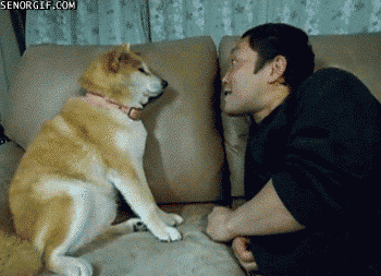 今日保存した最高の画像を転載するスレ 329YouTube動画>2本 ->画像>1153枚 