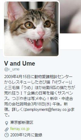 ネコと仕事