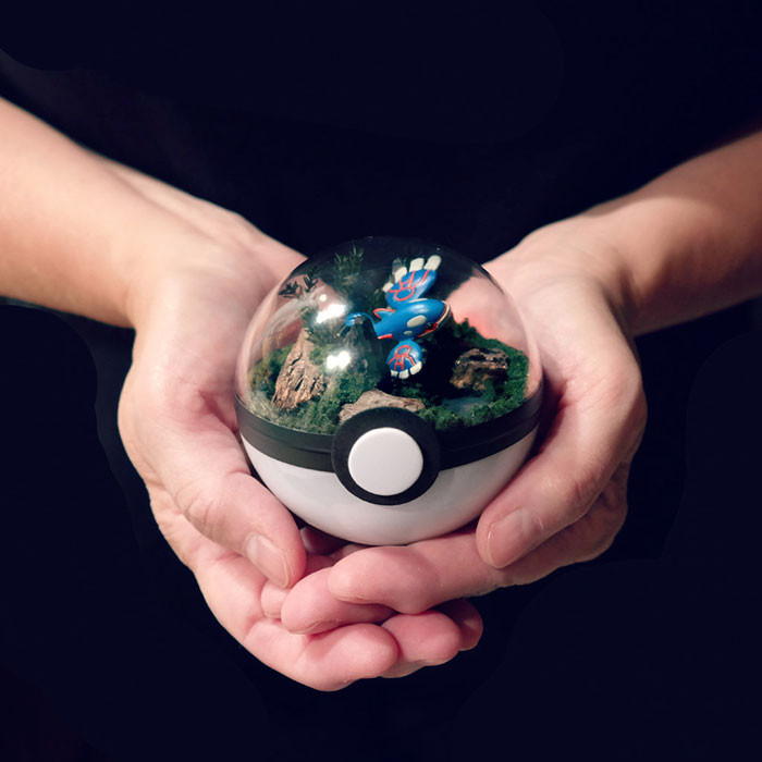 poke-ballthe-vintage-realm-57f3ab8d259d6__700