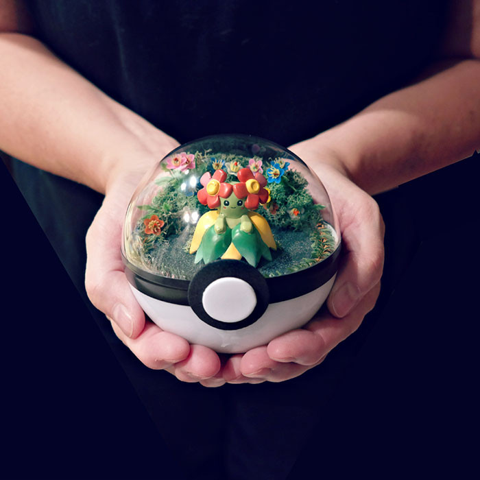 poke-ballthe-vintage-realm-57f3aba3ce5ab__700