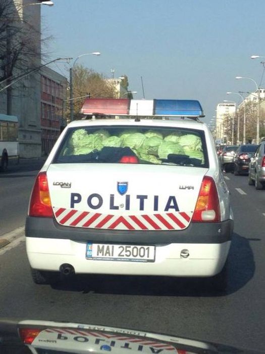 police33