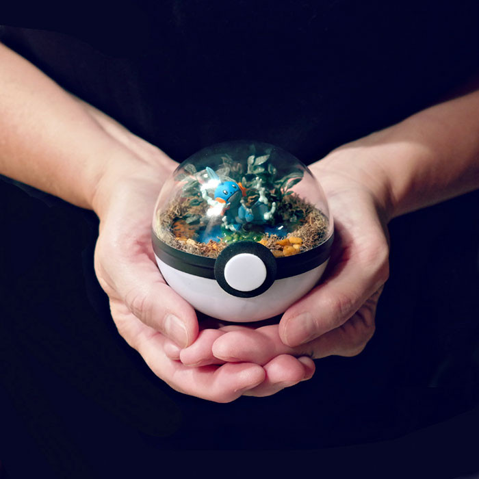poke-ballthe-vintage-realm-57f3ab8a05318__700