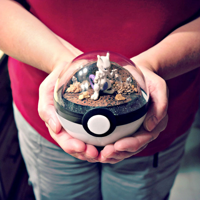 poke-ballthe-vintage-realm-15-57f3a84486eda__700