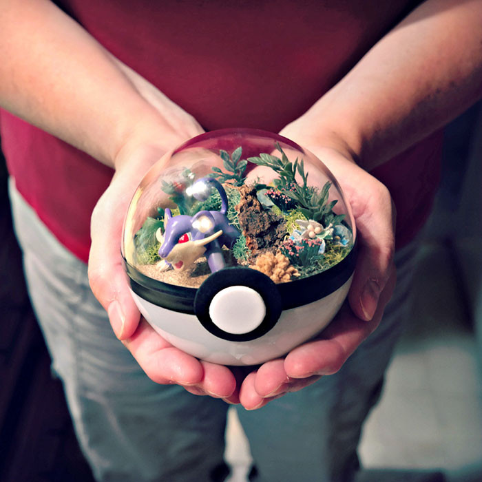 poke-ballthe-vintage-realm-11-57f3a83a1bde1__700