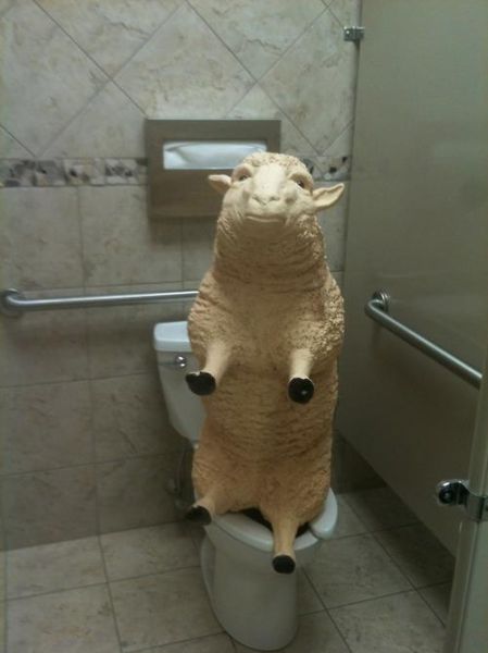 wc16