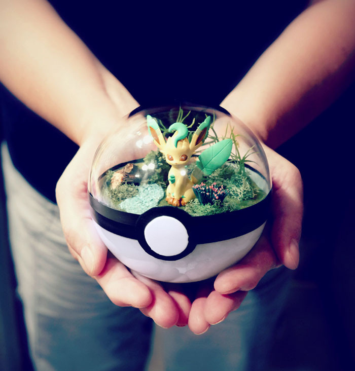 poke-ballthe-vintage-realm-2-57f3a8260fdd9__700