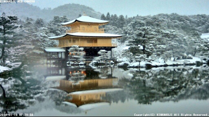 kinkaku