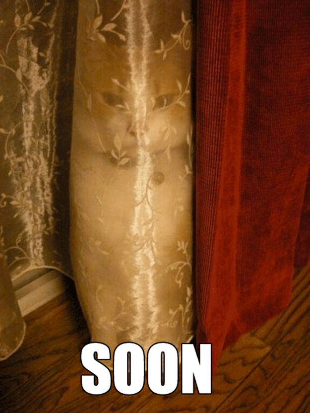 soon03_1
