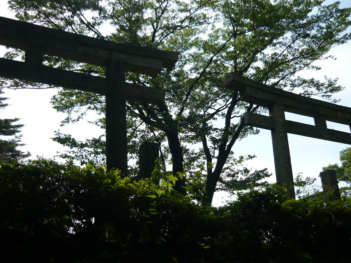 up16207[1]