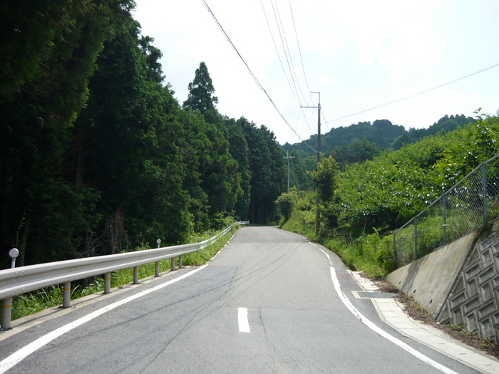 up16172[1]
