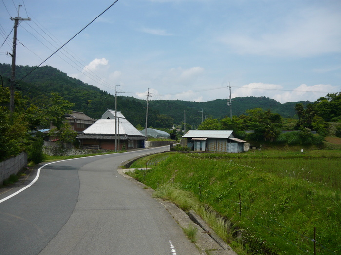 up16186[1]