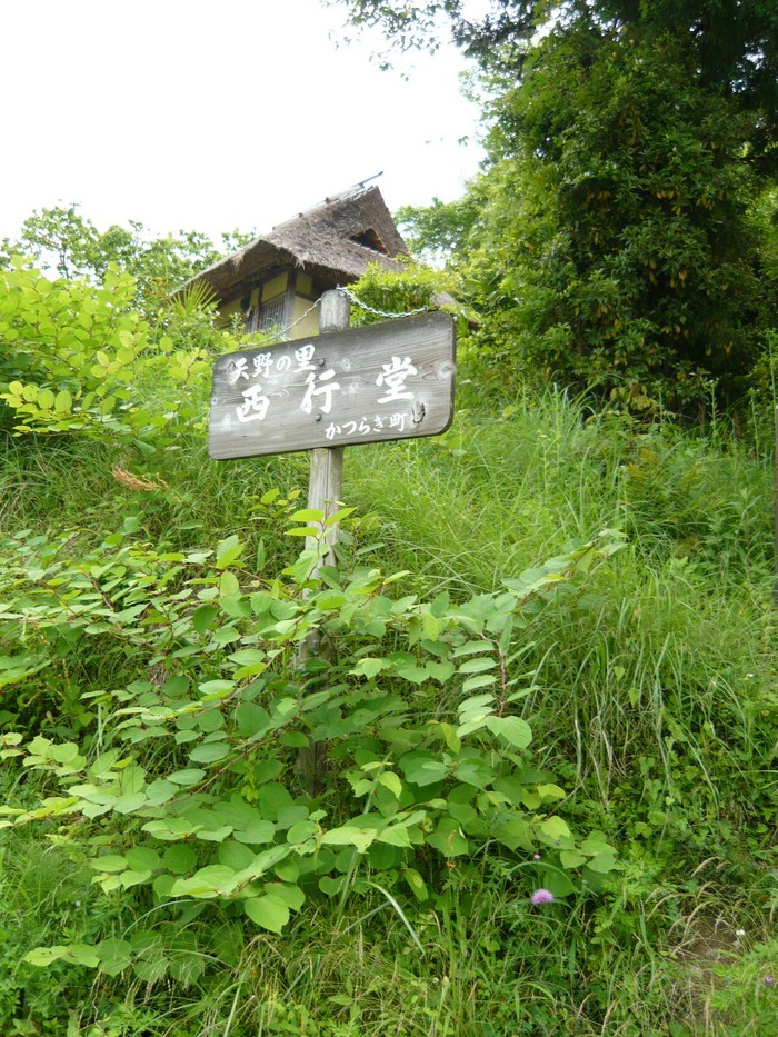 up16184[1]