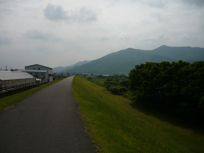 up16144[1]