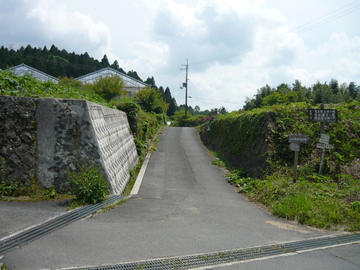 up16201[1]