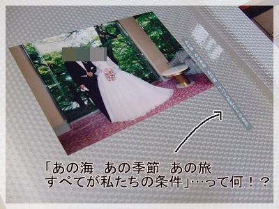 このシールが余計