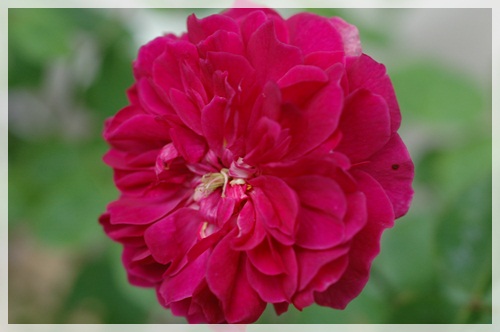 38949f45.jpg