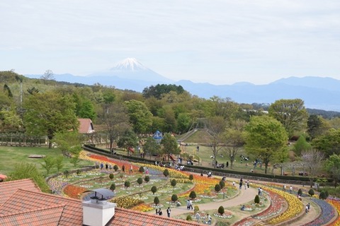 富士山