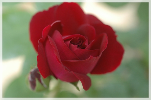 5cf65d11.jpg